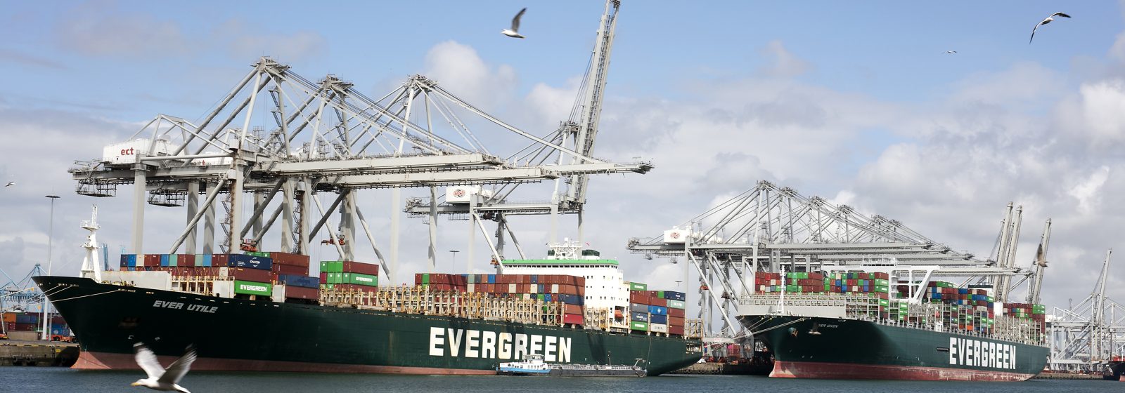 De containerterminal van ECT in de Rotterdamse haven